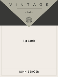 Cover image: Pig Earth 9780679737155