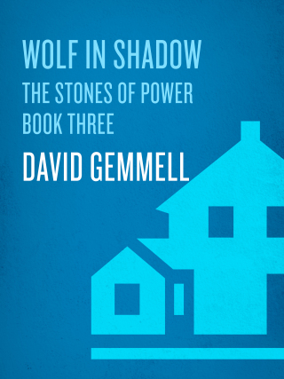 Cover image: Wolf in Shadow 9780345379030