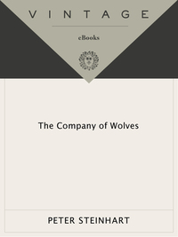 Cover image: The Company of Wolves 9780679743873