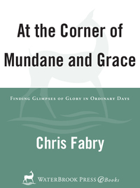 Cover image: At the Corner of Mundane and Grace 9781578561179