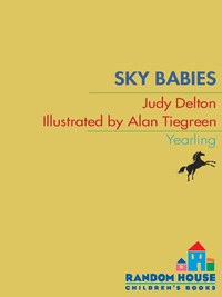 Cover image: Sky Babies 9780440405306