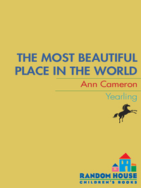Cover image: The Most Beautiful Place in the World 9780394804248