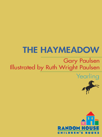 Cover image: The Haymeadow 9780440409236