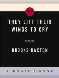 Cover image: They Lift Their Wings to Cry 9780307268457