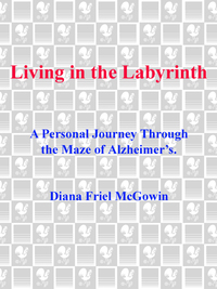 Cover image: Living in the Labyrinth 9780385313186