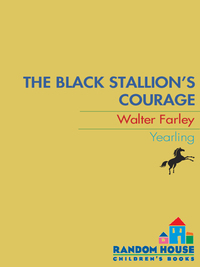 Cover image: The Black Stallion's Courage 9780394839189