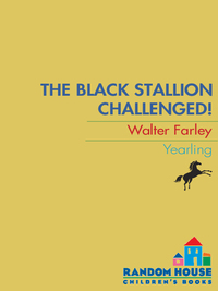 Cover image: The Black Stallion Challenged 9780394843711