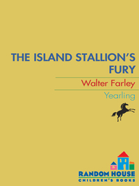 Cover image: The Island Stallion's Fury 9780394843735