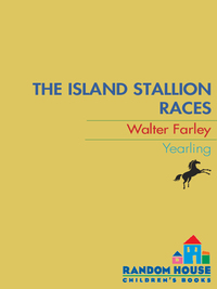 Cover image: The Island Stallion Races 9780394843759