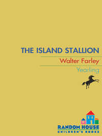 Cover image: The Island Stallion 9780394843766
