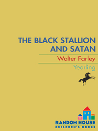 Cover image: Black Stallion and Satan 9780679813460