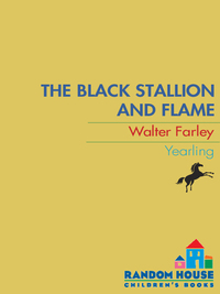 Cover image: The Black Stallion and Flame 9780679820208