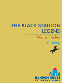 Cover image: The Black Stallion Legend 9780679826996