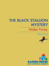 Cover image: The Black Stallion Mystery 9780679827009
