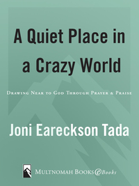 Cover image: A Quiet Place in a Crazy World 9780880706063