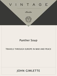 Cover image: Panther Soup 9780307277916