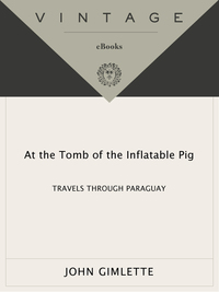 Cover image: At the Tomb of the Inflatable Pig 9781400078523
