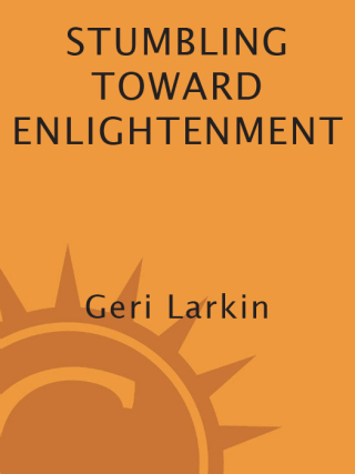 Cover image: Stumbling Toward Enlightenment 9781587613296