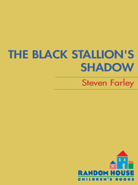 Cover image: Black Stallion's Shadow 9780679890461
