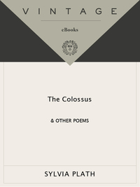 Cover image: The Colossus 9780375704468