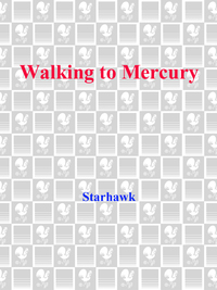 Cover image: Walking to Mercury 9780553378399