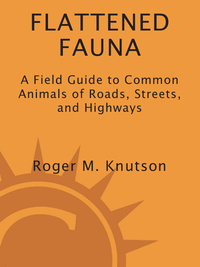 Cover image: Flattened Fauna, Revised 9781580087551