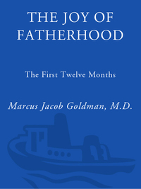 Cover image: The Joy of Fatherhood, Expanded 2nd Edition 2nd edition 9780761524243