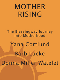 Cover image: Mother Rising 9781587612671