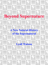 Cover image: Beyond Supernature 9780553344561