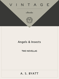 Cover image: Angels & Insects 9780679751342
