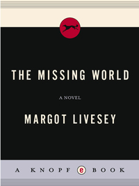 Cover image: The Missing World 9780375405815