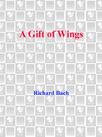 Cover image: A Gift of Wings 9780440204329