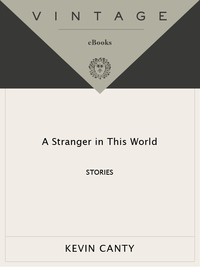 Cover image: A Stranger in This World 9780679763949
