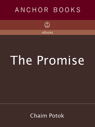Cover image: The Promise 9781400095414