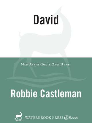 Cover image: David 9780877881643