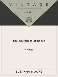 Cover image: The Whiteness of Bones 9781400075041