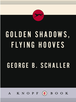 Cover image: Golden Shadows 9780394472430