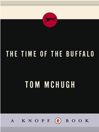 Cover image: The Time Of The Buffalo 9780394476186