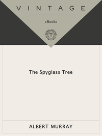 Cover image: The Spyglass Tree 9780679730859