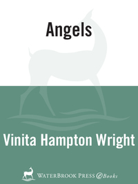 Cover image: Angels 9780877880134