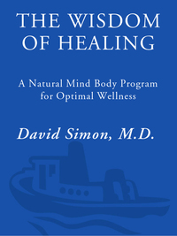 Cover image: The Wisdom of Healing 9780609802144