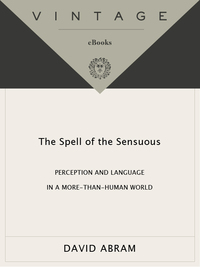 Cover image: The Spell of the Sensuous 9780679776390