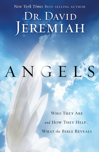 Cover image: Angels 9781590527023
