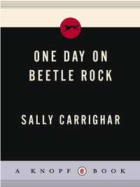 Cover image: One Day On Beetle Rock 9780394439174