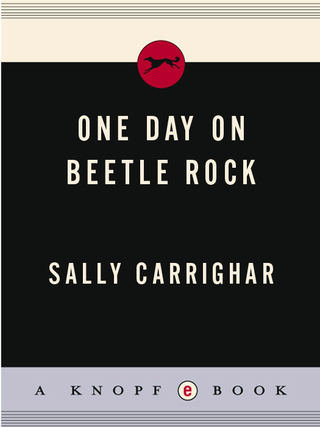 Cover image: One Day On Beetle Rock 9780394439174
