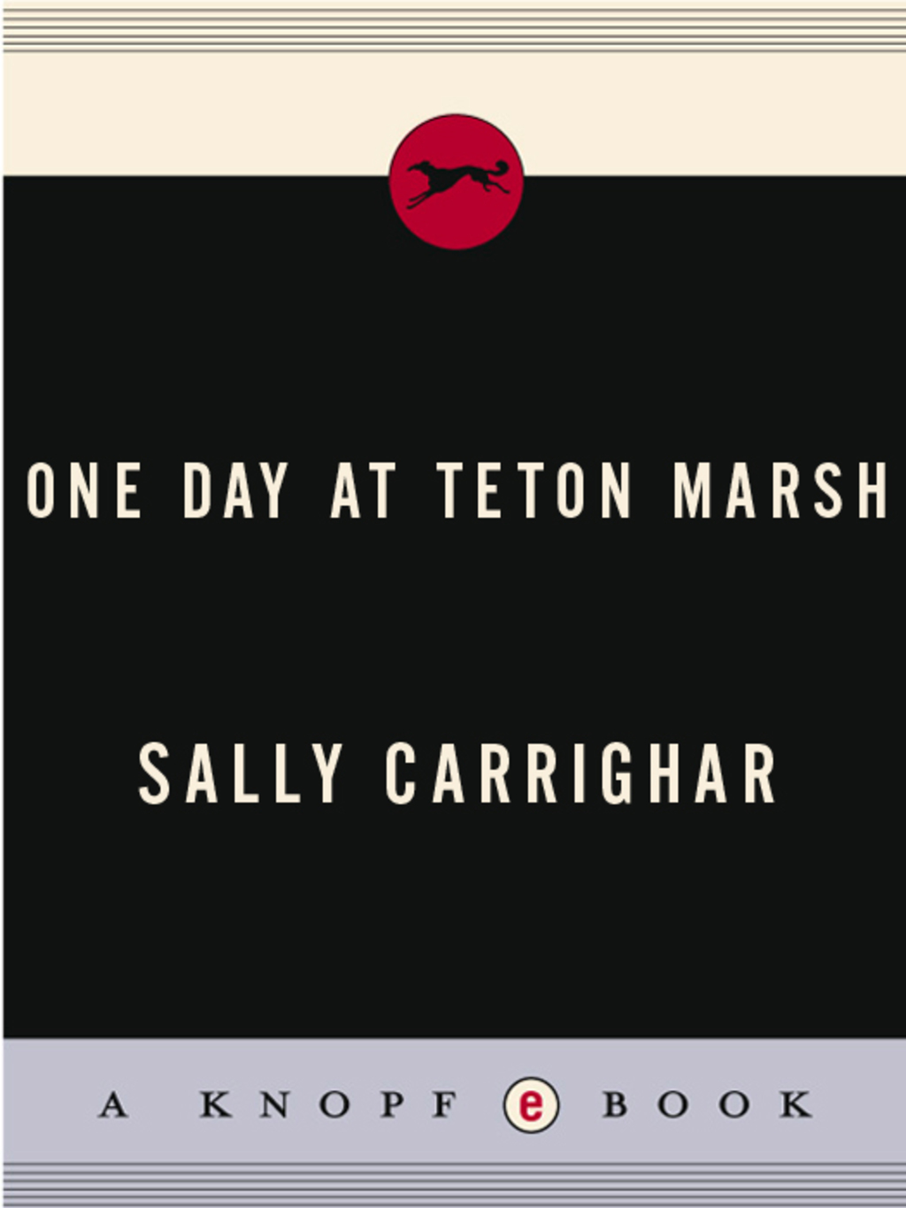 One Day At Teton Marsh