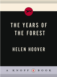Cover image: YEARS OF THE FOREST 9780394475387