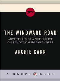 Cover image: The Windward Road 9780394452098