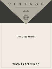 Cover image: The Lime Works 9781400077588