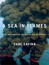 Cover image: A Sea in Flames 9780307887351